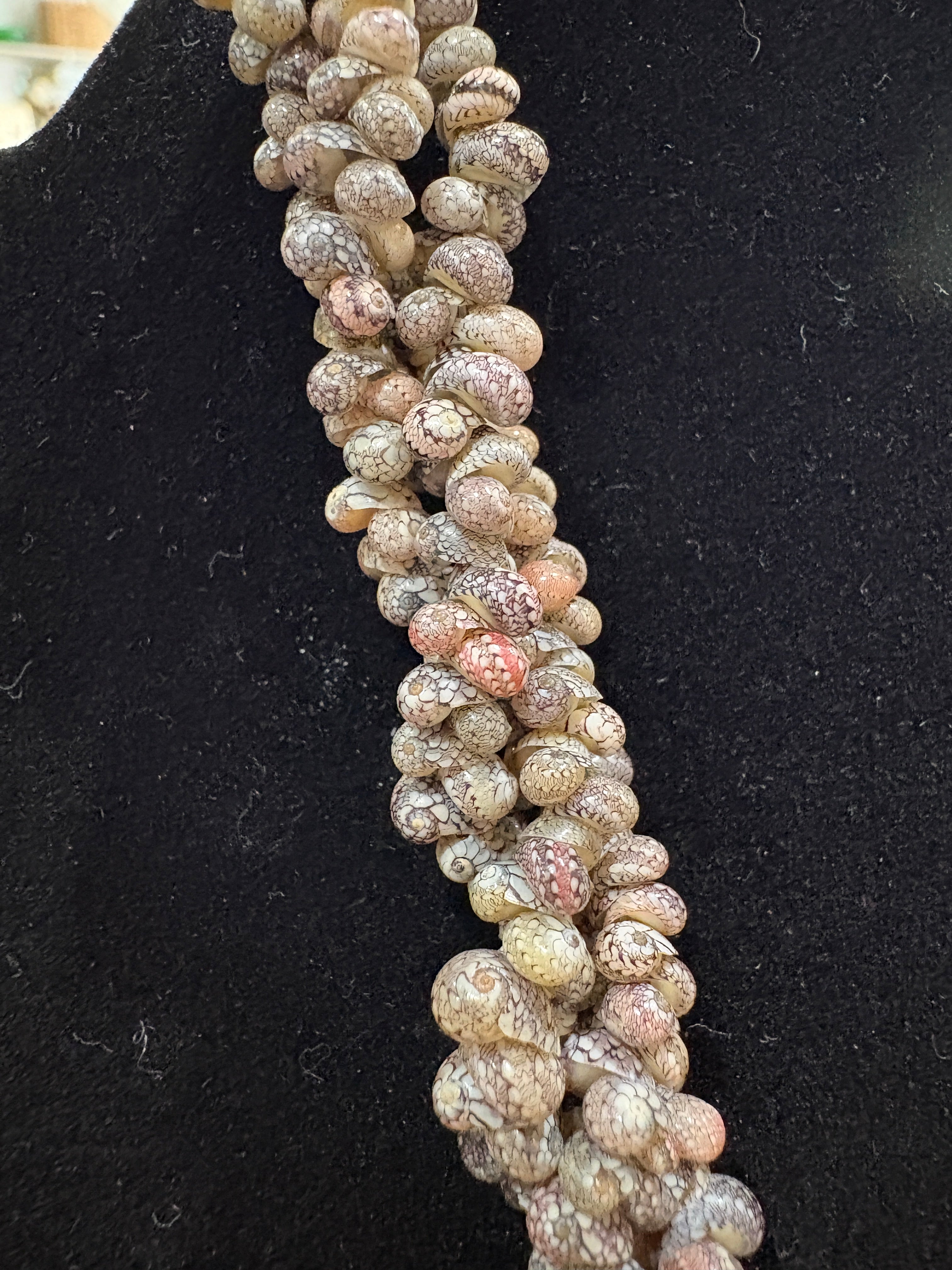 Ocean Treasure Shell Necklace