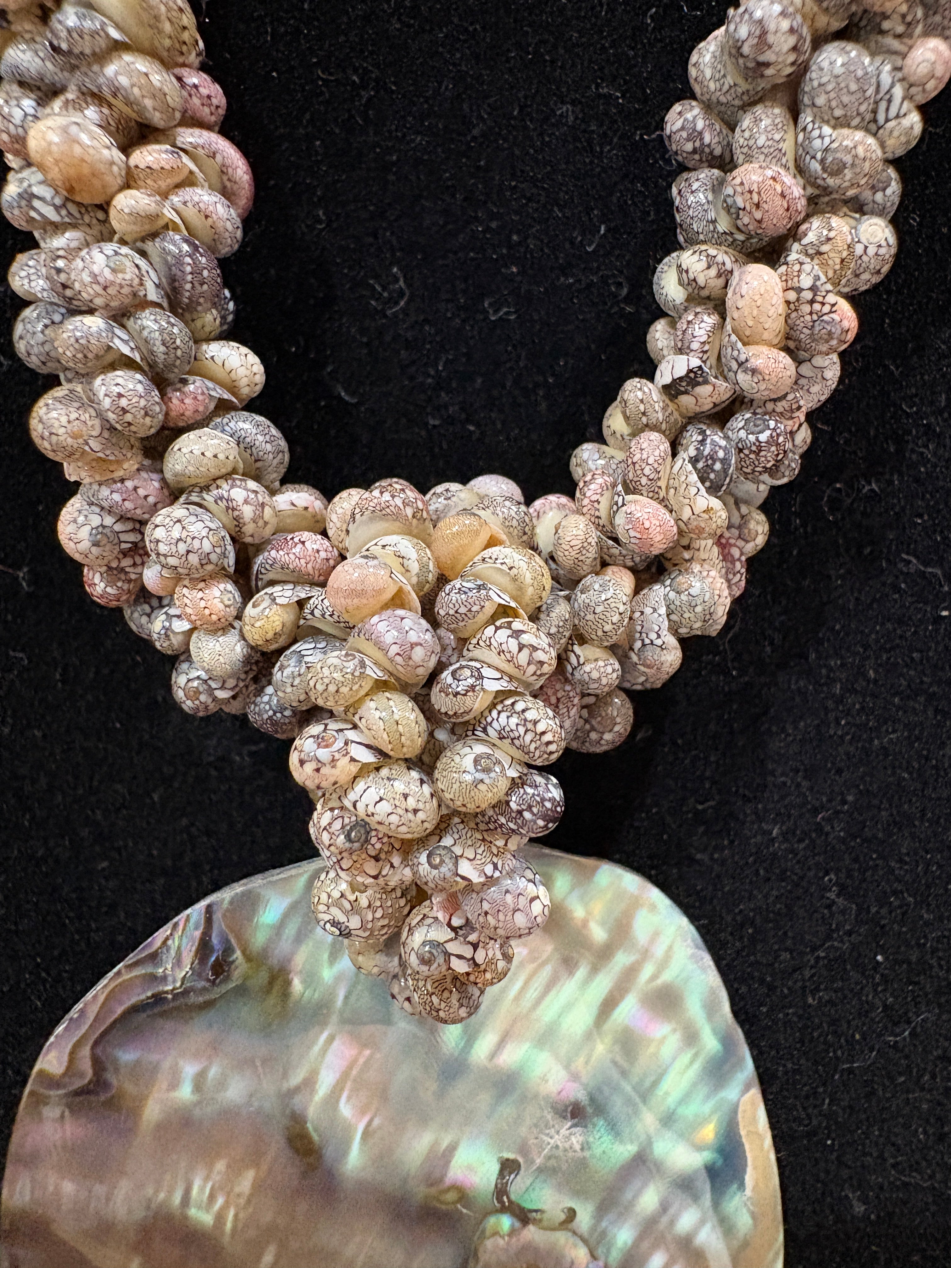 Ocean Treasure Shell Necklace